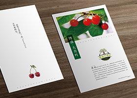 大青叶樱桃品牌设计/DESIGN VI