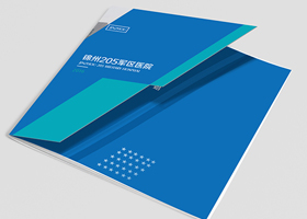 解放军205医院样本设计/ DESIGN SAMPLE